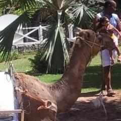 jamessteele5's profile picture. 