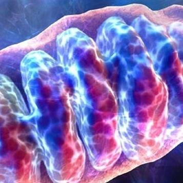 MetabolixCA's profile picture. 