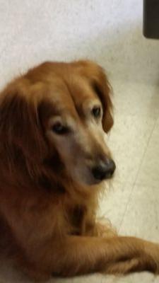 MikeLeidy's profile picture. 