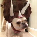 Katherine Firestone - @FireKath - Twitter