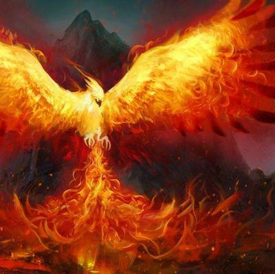 Looking forward to something amazing. Beginner Youtuber, but struggling. Talented artist and a gamer. Youtube channel is Warriorlight 137.