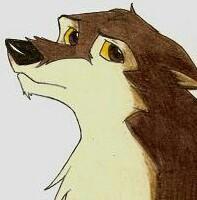 Nivo: Male, adolescent,shy,quiet,wolf and single