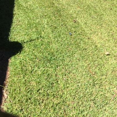 mayfairboys's profile picture. 