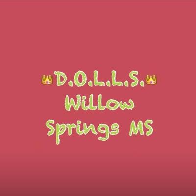 wsmsdolls's profile picture. Willow Springs Middle School DOLLS! We meet Tuesdays is Mrs.Heid's room 4:15-5:15 for food, faith, and fun!