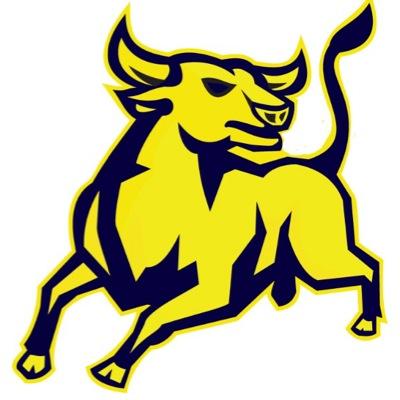 Home of the Baby Bulls. Miami-Dade County Public Schools. Established in 1938. First Integrated School in Miami-Dade, 1959. Destination Excellence!