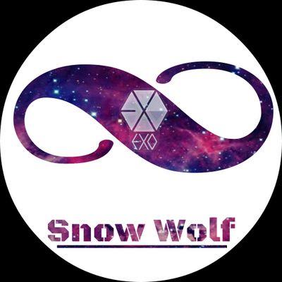 We Are Snow Wolf Independent Dance Cover EXO&Infinite | Debut:13.08.2013 | CP:754A65C8
