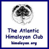 The Atlantic Himalayan Club is a CFA affiliated club, dedicated to preserving and promoting the Himalayan Cat.              ~Re-tweets are not endorsements~