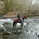 Brian Daniel Spohn - @SpohnBrian - Twitter