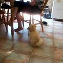 Brett Lambert - @brettlambert965 - Twitter