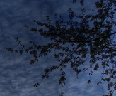 Comandx's profile picture. 