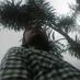 Ervan Hadi Suwita (@ervan_pino) Twitter profile photo