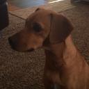 RD'Amic - @RonDamico - Twitter