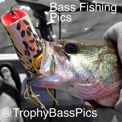TrophyBassPics's profile picture. Send us Your Trophy Bass and Lures And We Will Post the Picture For the World to See! Good luck! #RippingLips