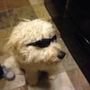 Jake Lugo - @jakelugo7 - Twitter