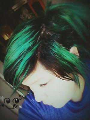 19 años, estudiante y amante de informatica. Gatos y perros. (: