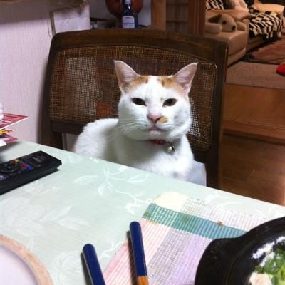 nyantajima's profile picture. 最近家買ったでおなじみのたじまです。妻1子2犬1 sprawl Ba(@sprawlpanda) HILLMYNAH(@HILLMYNAH_info) gt ベタフェス(@better_fes) DTM https://t.co/oaYRZvV9LR