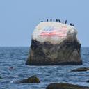 Elaine Lore - @beadslore - Twitter