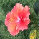 Amanda M Charest - @Amanda_Charest - Twitter