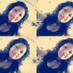 Daniela Sandoval (@daniela08012000) Twitter profile photo