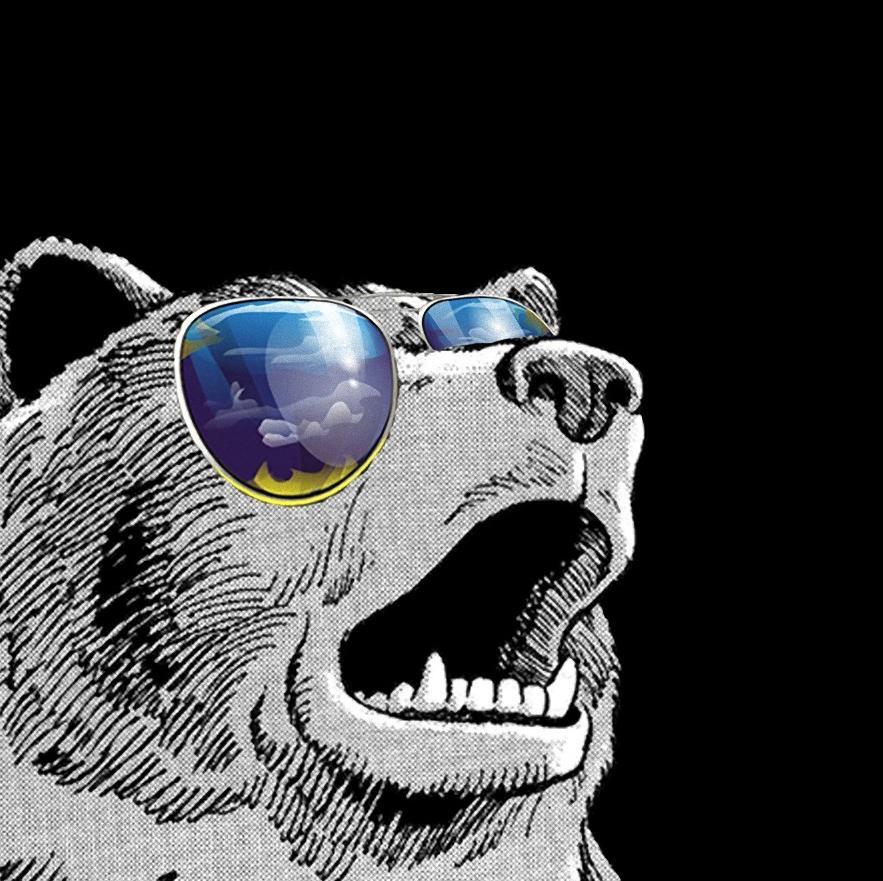 Web Developer. Not actually a bear rocking aviators.