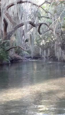 ruby_delight's profile picture. 941 Native