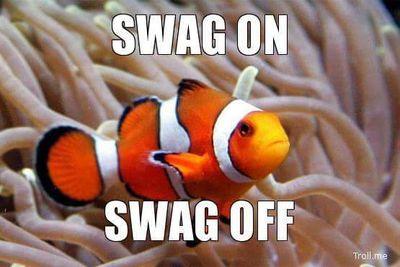 I haz to much sweg