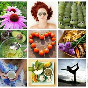 HealthSeekerNZ's profile picture. Health seeker is an online web and map directory service showcasing your regions holistic lifestyle and health businesses. Making healthy easy.