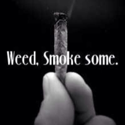 Tweets so Trill make you Retrweet. Tweets so loud make you high. Tweets so sexy make you wet.