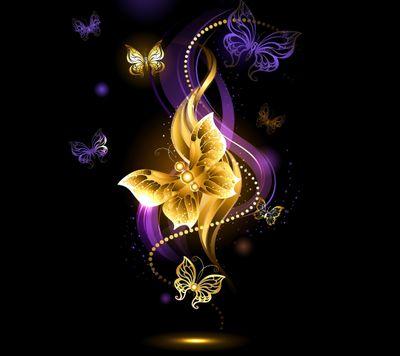 BonnBVT's profile picture. 