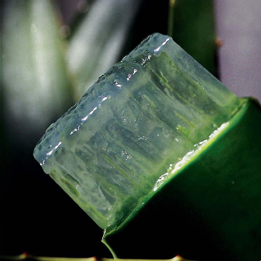 Shoneyb33's profile picture. FOREVER LIVING DISTRIBUTOR  http://t.co/0u2hrpfR1n   Enjoy cooking healthy meals, Like looking & feeling great. Promoting Health,Fitness & Beauty