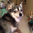 Mary Tague - @tague_mary - Twitter