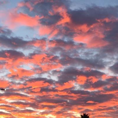 AlmaCuevas11's profile picture. 