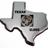 cloud_texas's profile image