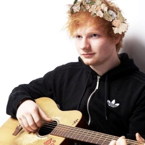 Lovatic, Anselite, 5sosFam, Belieber, Efeito colateral & Sheerio