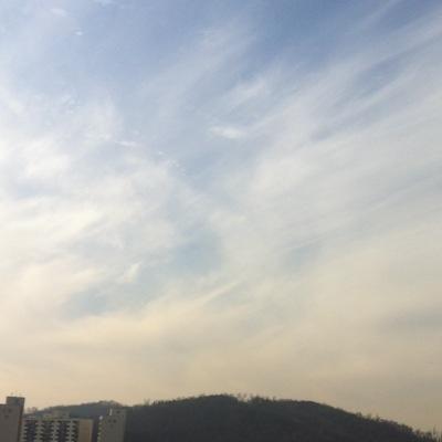 원하는대로 All / 맞팔은 감사 / 모두 행복하세요. ^^