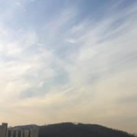 마른장작 (@hhhk20111) 's Twitter Profile