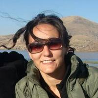 Aurora M. Alcojor (@alcojor) 's Twitter Profile