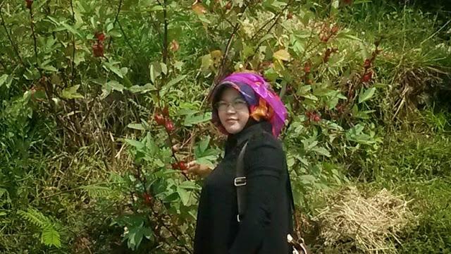 CMery765's profile picture. 