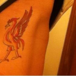 living and loving life all thanks to my gorgeous other half . Im a Massive lfc fan who still loves Stevie G Liverpool ❤️