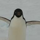 Dustin McDaniel - @revnitsudyak - Twitter