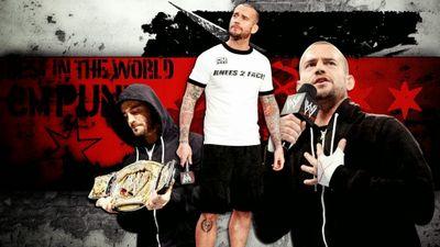 WWE is my life I support @CMPunk @AJBrooks @RealPaigeWWE @MsCharlotteWWE @SashaBanksWWE  @WWERomanReigns @RandyOrton @WWEDanielBryan @HEELZiggler