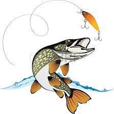 Fishing for fun