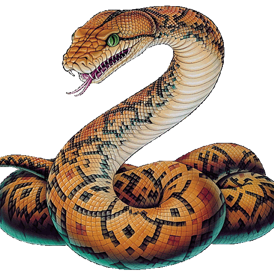Follow for the most awesome snake posts on the internet!