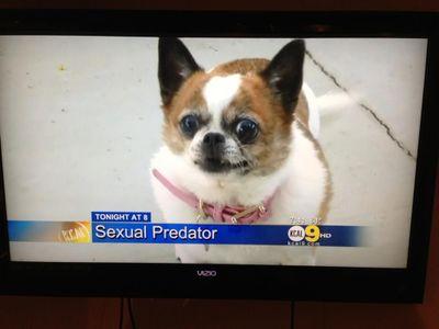 ValeedaPlays's profile picture. I'm Valeeda on Twitch, come by one time & check me out!