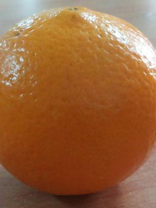 ChandrabShrest2's profile picture. 