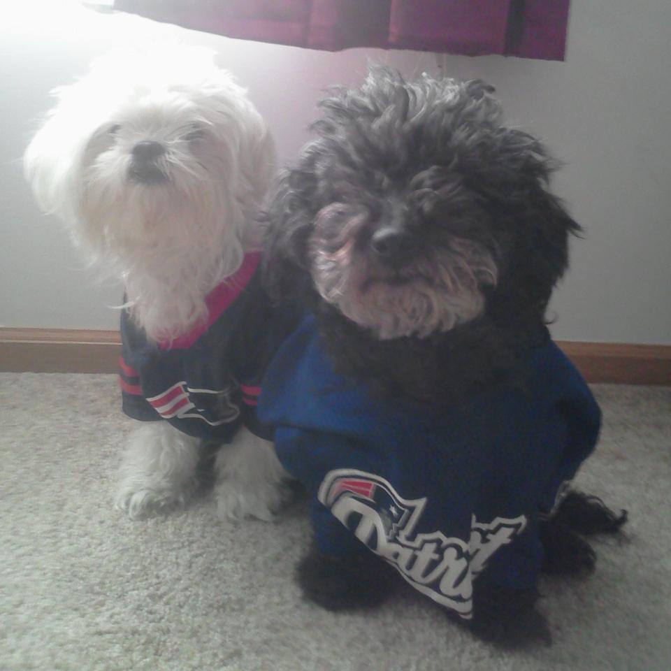 gbjsmommy's profile picture. loving, supportive wife of a #trucker #eldorme