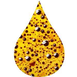 EatDesignSA's profile picture. Eat. Design. Experience. Bespoke food experiences, installations and other cool stuff to blow your senses to Mars. Founder @carodewaal