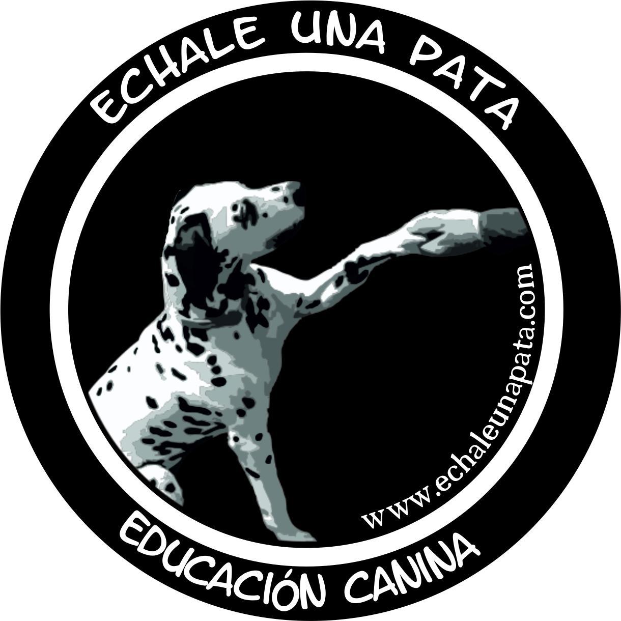 EchaleUnaPata's profile picture. Educación canina en positivo. León (España)