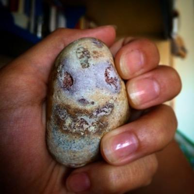 NoWingsForMe's profile picture. 