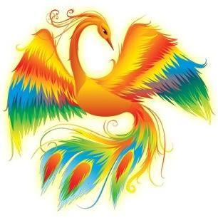 alchemyfornow's profile picture. 